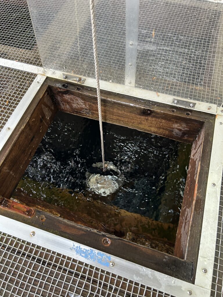 福島県大塩天然炭酸水炭酸場