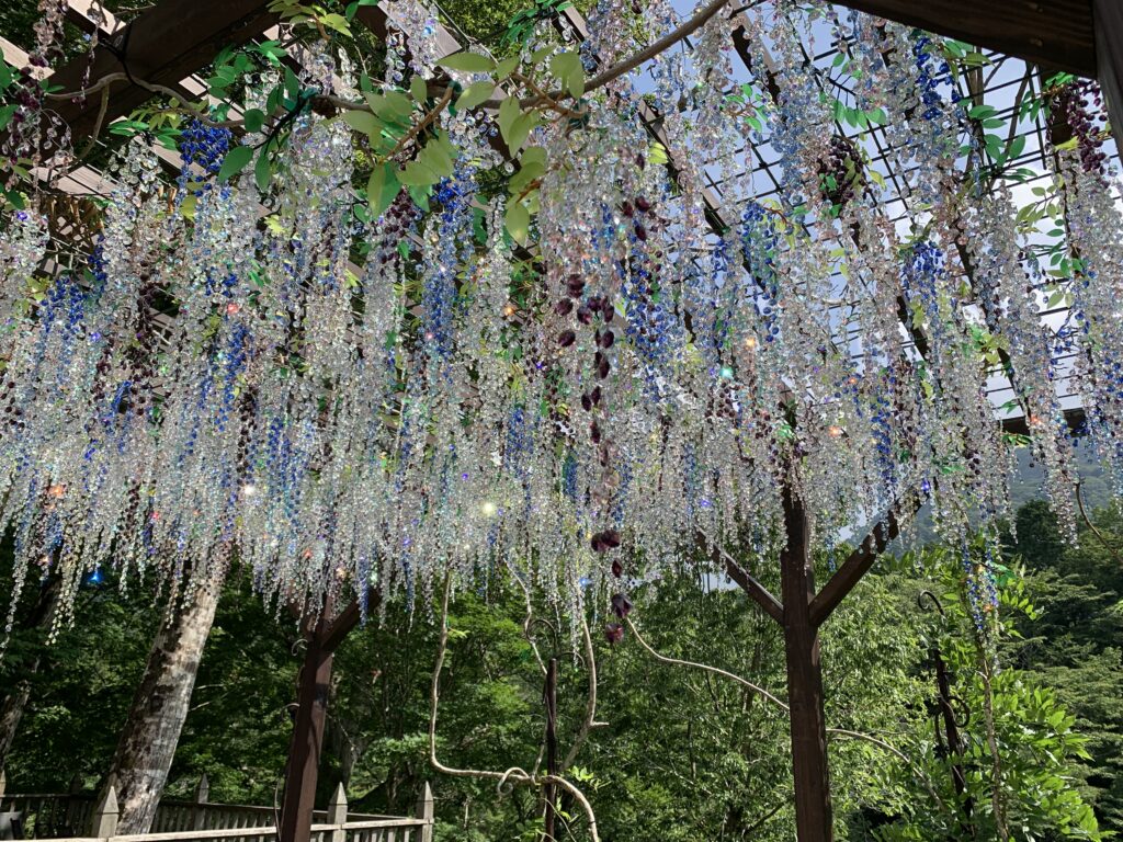 ガラスの森美術館　クリスタルの藤の花
